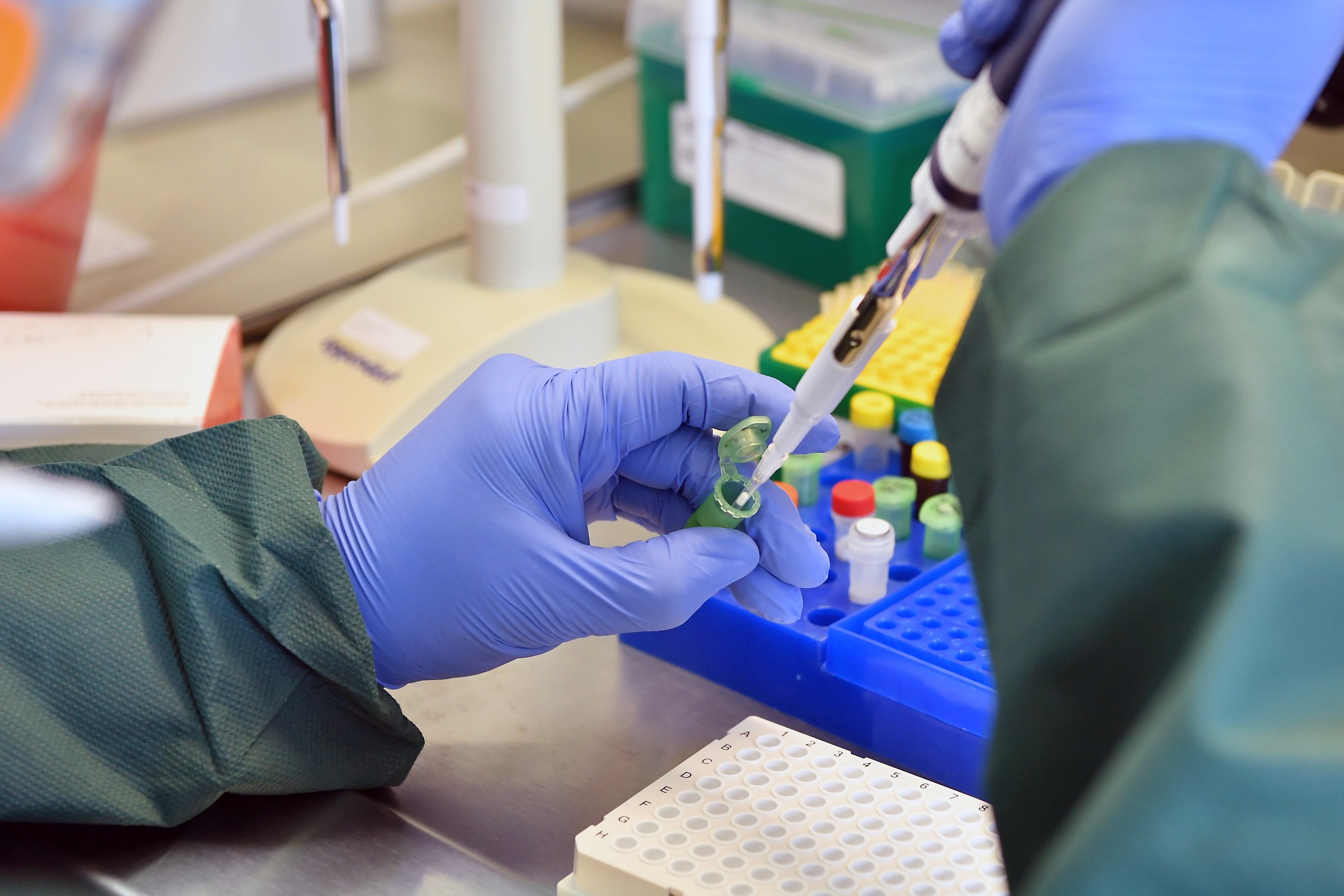 West Africa Tackles COVID-19: Contrasting Regional Approaches to Combating the Pandemic